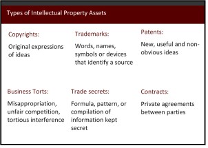 Protect Intellectual Property